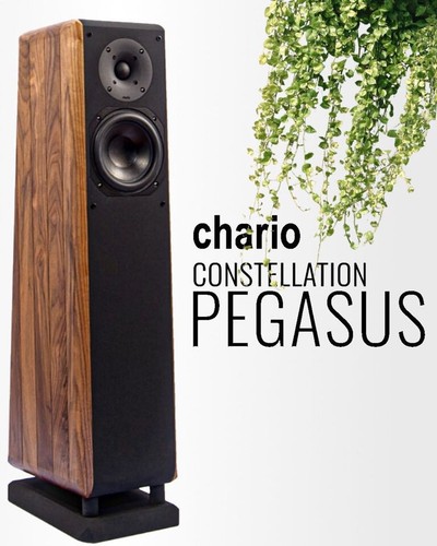 Chario pegasus ii - pegasus,